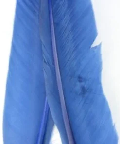 Nature's Spirit Goose Quills