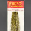 Whiting 100 Pack Dry Fly Hackle - Grizzly Dyed Dark Olive - 14 2 Whiting 100 Pack Dry Fly Hackle - Grizzly Dyed Dark Olive - 14