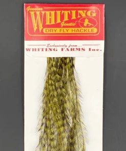 Whiting 100 Pack Dry Fly Hackle - Grizzly Dyed Dark Olive - 14