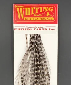 Whiting 100 Pack Dry Fly Hackle - Grizzly Dyed Medium Dun - 10
