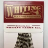 Whiting 100 Pack Dry Fly Hackle - Grizzly - 8