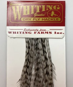 Whiting 100 Pack Dry Fly Hackle - Grizzly Dyed Medium Dun - 12