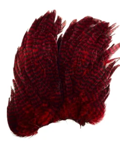 Whiting Bugger Hackle Patch