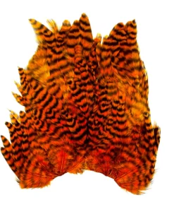 Whiting Bugger Hackle Patch