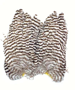 Whiting Bugger Hackle Patch