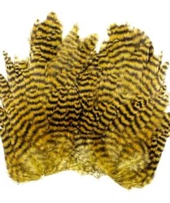 Whiting Bugger Hackle Patch