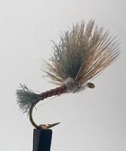 Umpqua Improved Sparkle Dun - Gray Drake Shop Flies