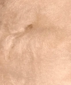 SemperFli Kapok Dry Fly Dubbing 94 SemperFli Kapok Dry Fly Dubbing