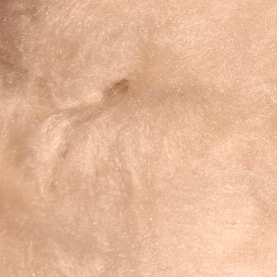 SemperFli Kapok Dry Fly Dubbing 46 SemperFli Kapok Dry Fly Dubbing