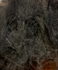 TroutHunter Premium CDC