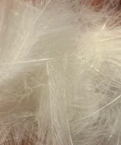 TroutHunter Premium CDC