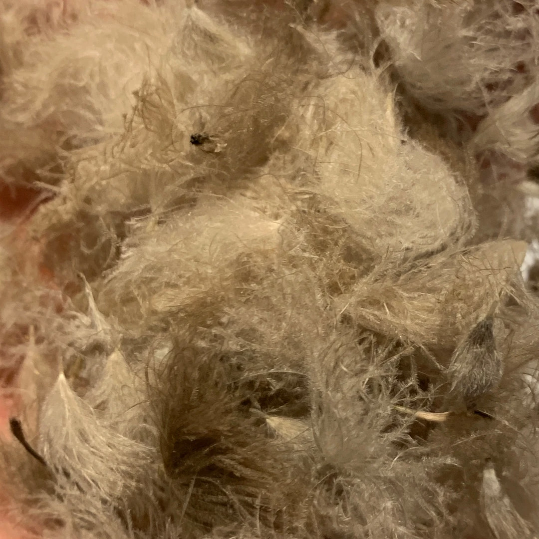 Nature's Spirit Swiss CDC Puffs Feathers & Marabou 14 Nature's Spirit Swiss CDC Puffs Feathers & Marabou