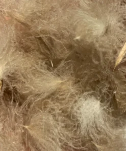 Nature's Spirit Swiss CDC Puffs Feathers & Marabou 25 Nature's Spirit Swiss CDC Puffs Feathers & Marabou