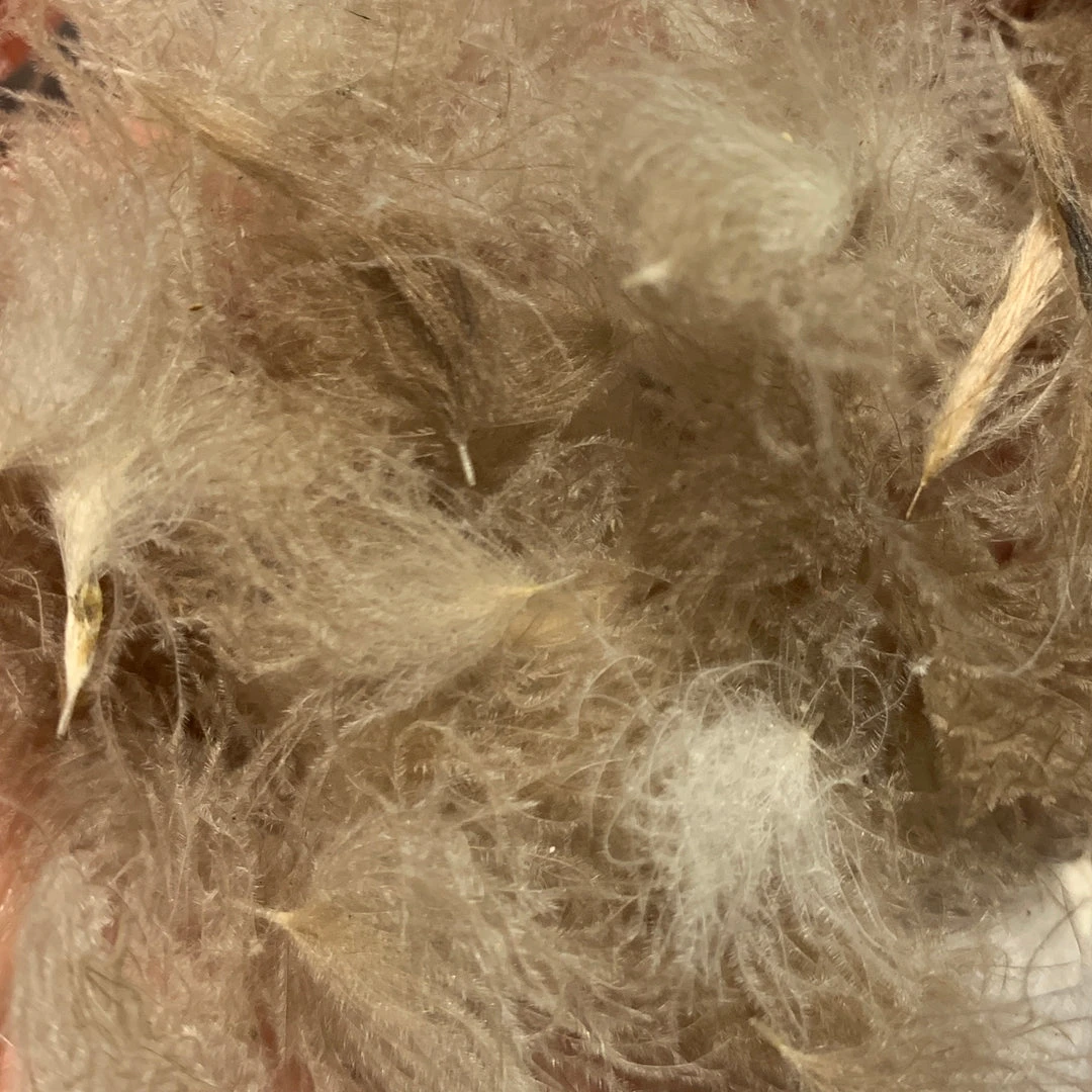 Nature's Spirit Swiss CDC Puffs Feathers & Marabou 13 Nature's Spirit Swiss CDC Puffs Feathers & Marabou