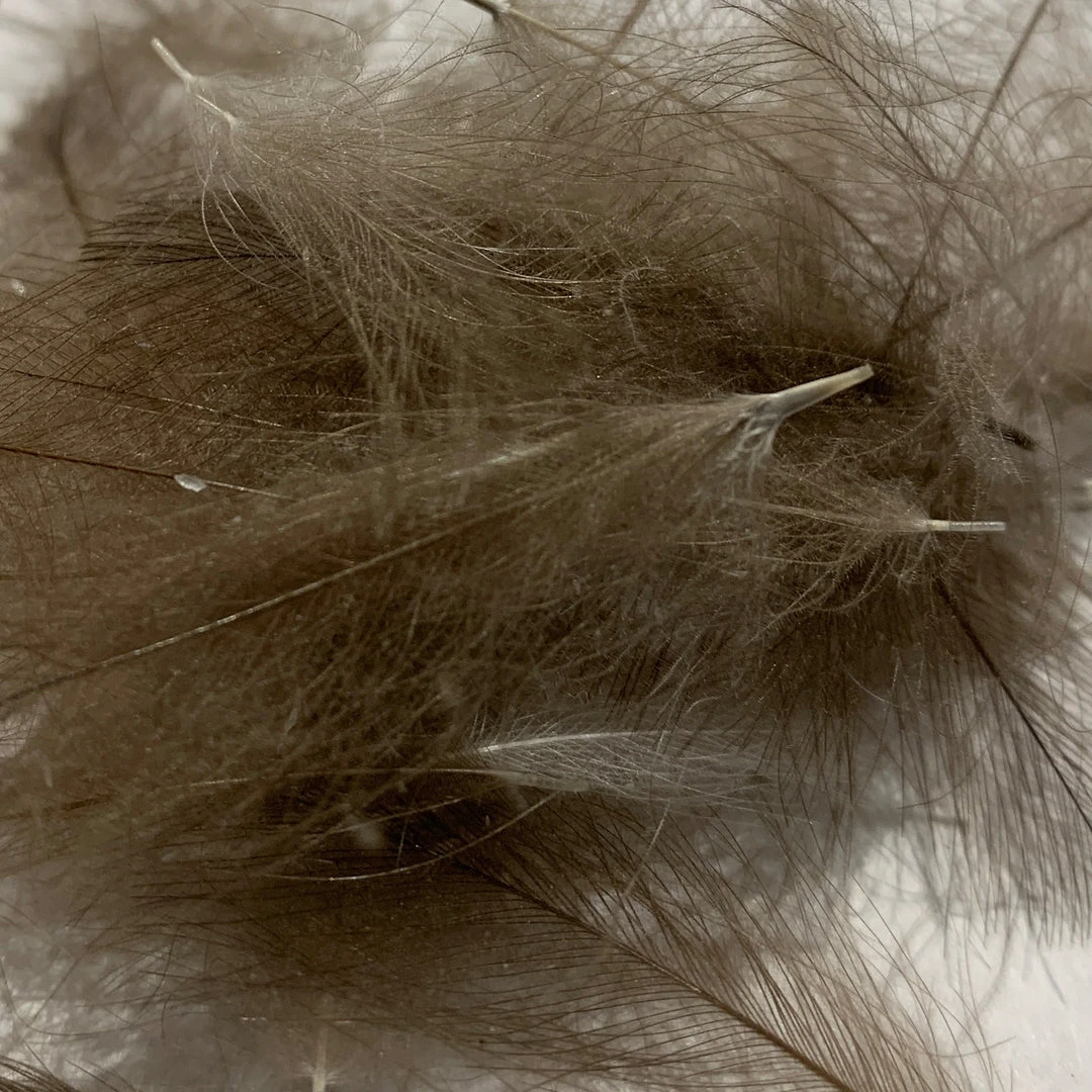 Nature's Spirit Swiss CDC Standard Grade Feathers & Marabou 34 Nature's Spirit Swiss CDC Standard Grade Feathers & Marabou