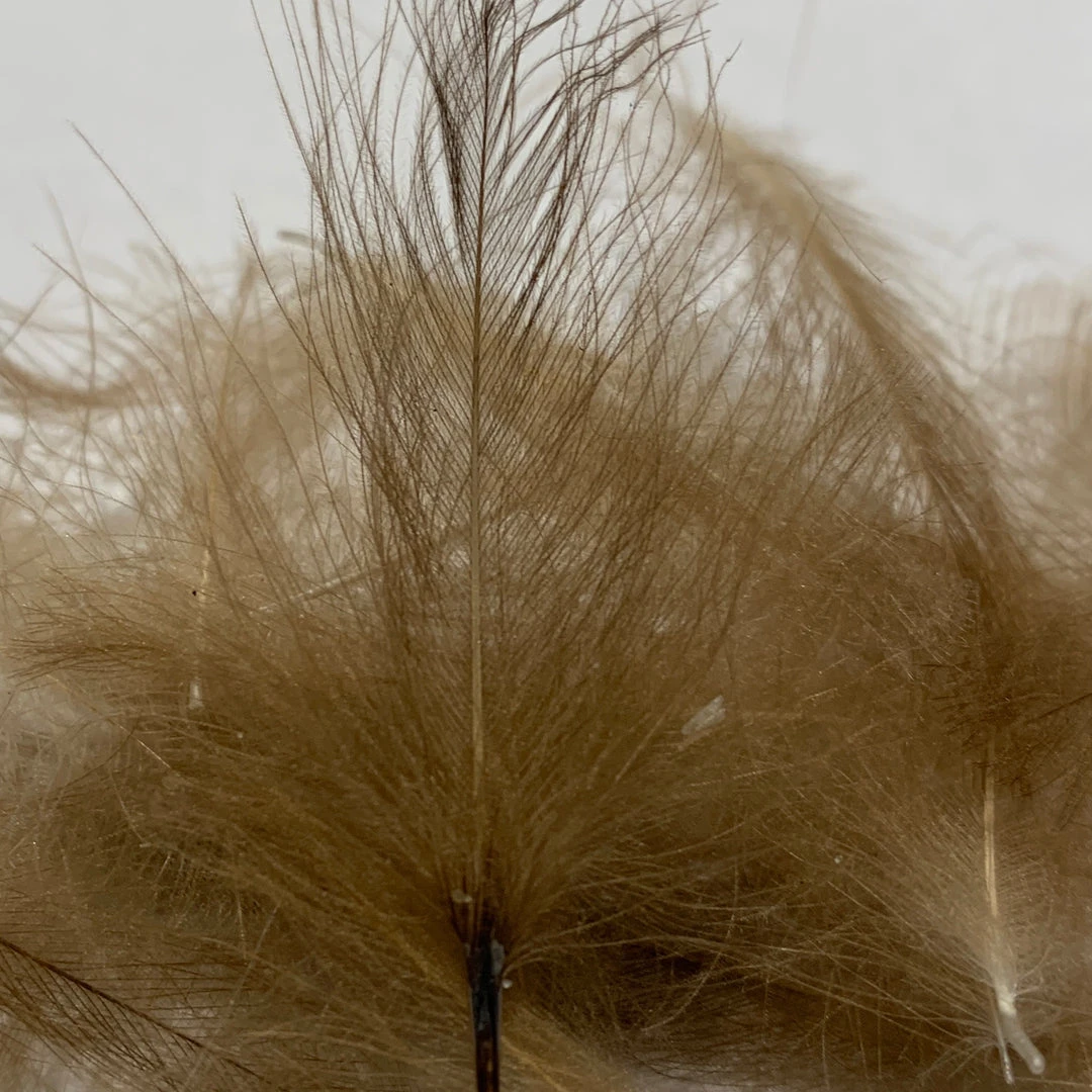 Nature's Spirit Swiss CDC Standard Grade Feathers & Marabou 32 Nature's Spirit Swiss CDC Standard Grade Feathers & Marabou