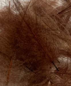 Nature's Spirit Swiss CDC Standard Grade Feathers & Marabou 58 Nature's Spirit Swiss CDC Standard Grade Feathers & Marabou