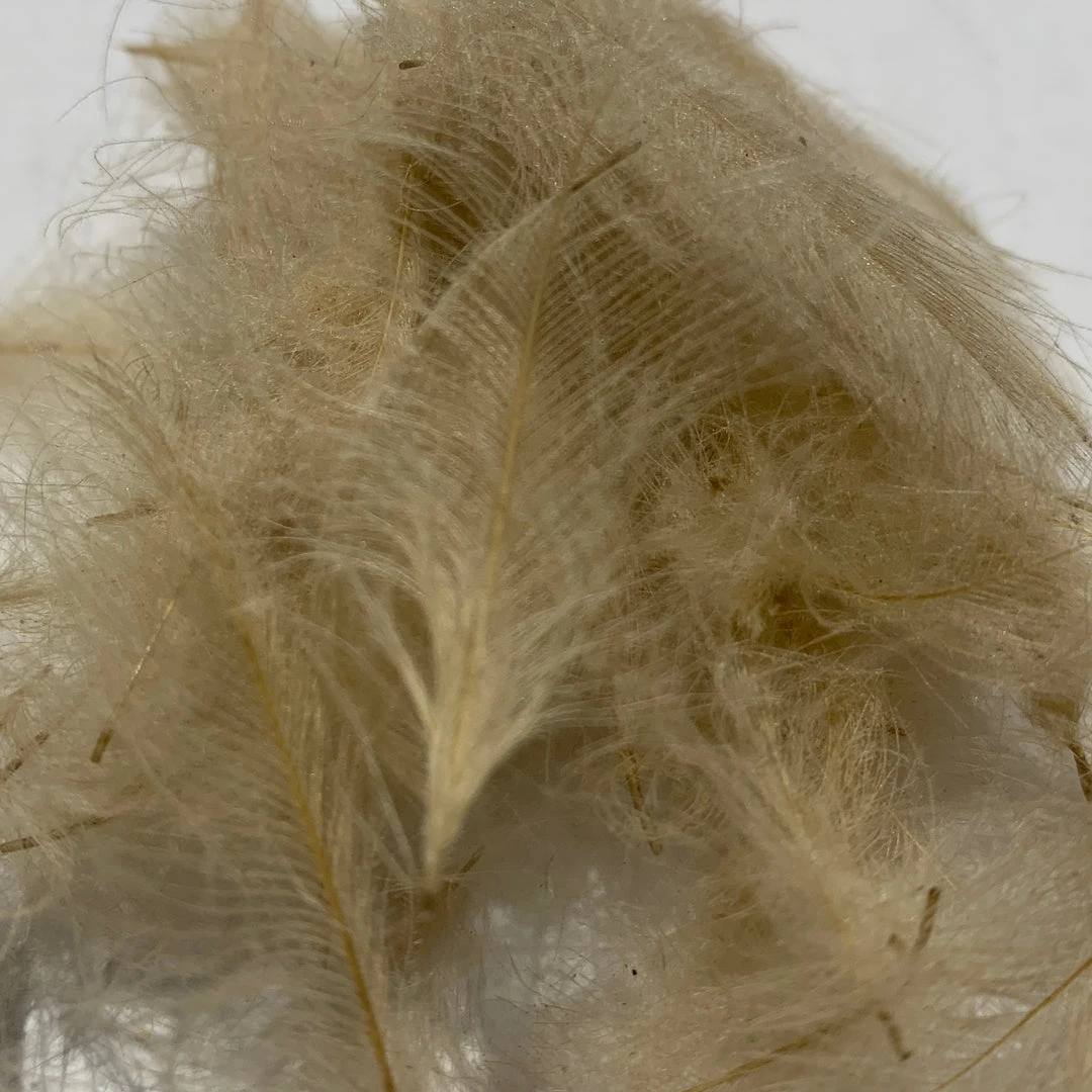 Nature's Spirit Swiss CDC Standard Grade Feathers & Marabou 14 Nature's Spirit Swiss CDC Standard Grade Feathers & Marabou