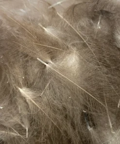 Nature's Spirit Feathers & Marabou Swiss CDC Super Select Grade