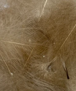 Nature's Spirit Feathers & Marabou Swiss CDC Super Select Grade