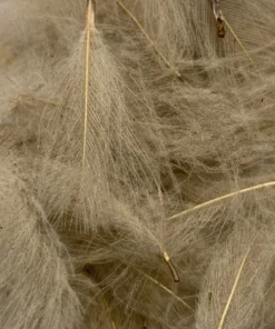 Nature's Spirit Feathers & Marabou Swiss CDC Super Select Grade