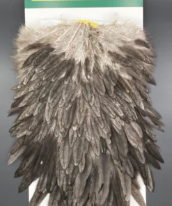 Whiting Hebert Miner Hen Saddle