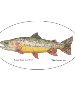 Pescador Jeff Currier Fish Decals Clothing & Logo Gear