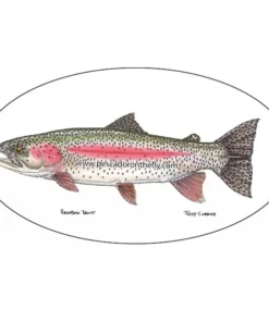 Pescador Jeff Currier Fish Decals Clothing & Logo Gear