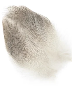 Wapsi Mallard Barred Flank Large Select Feathers & Marabou