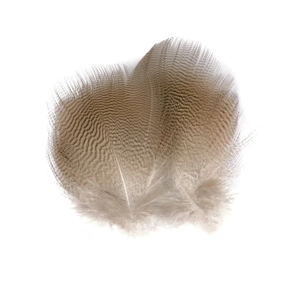 Wapsi Lemon Barred Wood Duck Feathers & Marabou 3 Wapsi Lemon Barred Wood Duck Feathers & Marabou