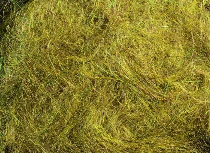 Rohmer Arizona Mega Simi Seal 13 Rohmer Arizona Mega Simi Seal