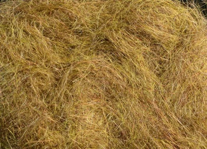 Rohmer Arizona Mega Simi Seal 3 Rohmer Arizona Mega Simi Seal