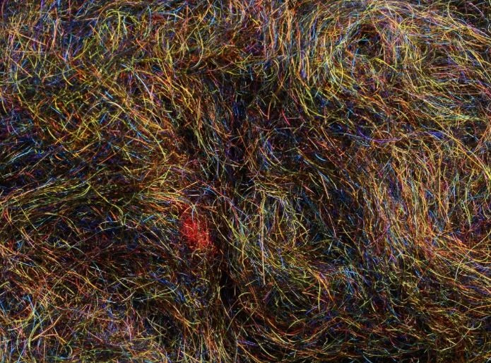 Rohmer Arizona Mega Simi Seal 7 Rohmer Arizona Mega Simi Seal