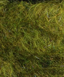 Rohmer Arizona Mega Simi Seal 72 Rohmer Arizona Mega Simi Seal