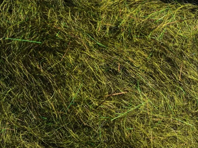 Rohmer Arizona Mega Simi Seal 18 Rohmer Arizona Mega Simi Seal