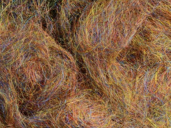 Rohmer Arizona Mega Simi Seal 8 Rohmer Arizona Mega Simi Seal