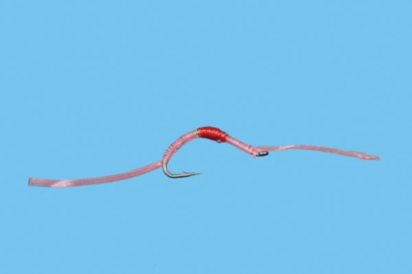 Solitude Flossy Worm - Pink 3 Solitude Flossy Worm - Pink