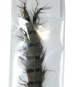 Feathers & Marabou Semperfli Single Knee Knotted Pheasant Tail