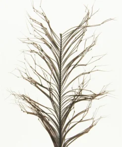 Semperfli Knotted Hopper Legs