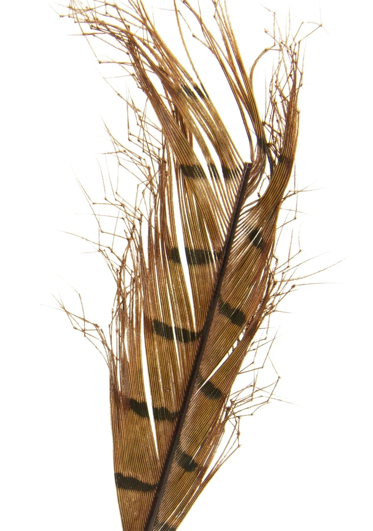 Semperfli Knotted Hopper Legs 4 Semperfli Knotted Hopper Legs