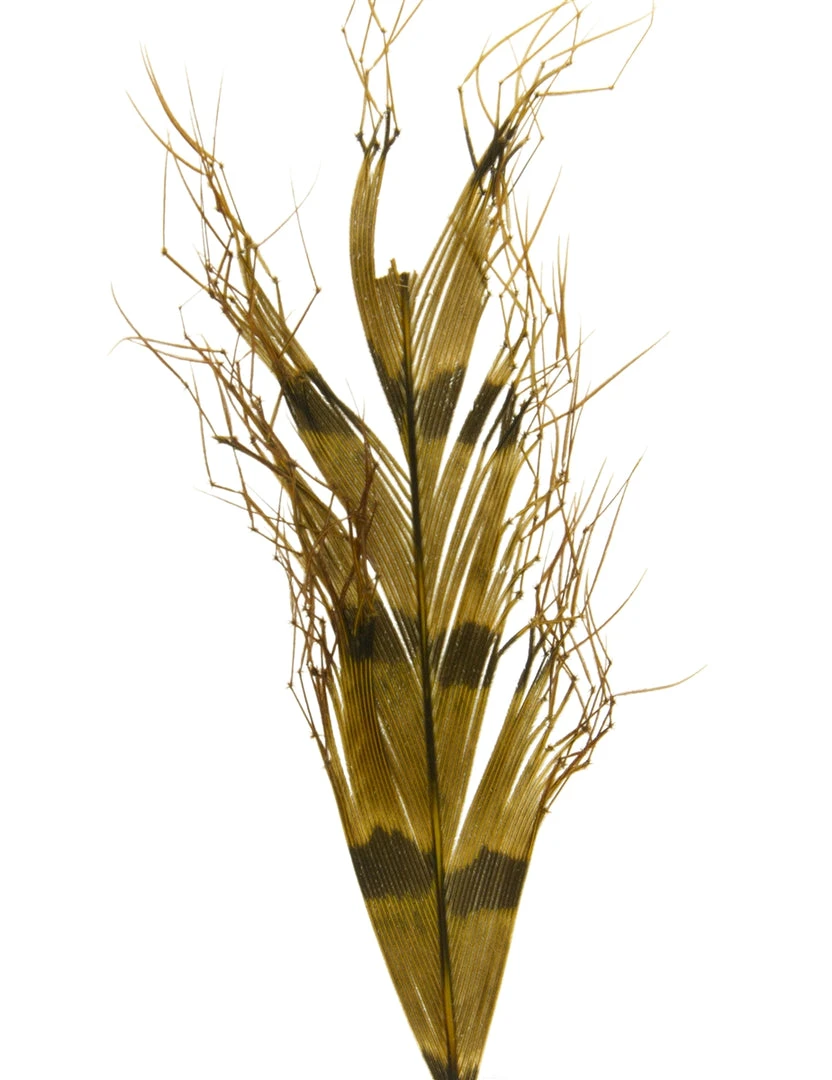 Semperfli Knotted Hopper Legs 5 Semperfli Knotted Hopper Legs