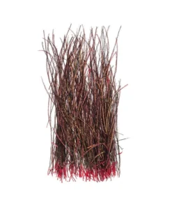 Feathers & Marabou Wapsi Dyed Strung Peacock Herl