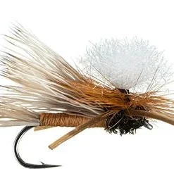 MFC Swisher's PMX - Orange