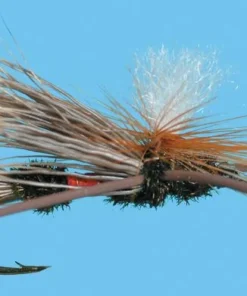 Solitude Shop Flies Para. X - Royal