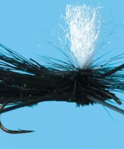 Solitude Para. X - Black