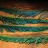 Hareline Peacock Swords Feathers & Marabou