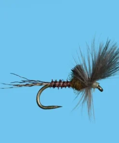 Solitude Harrop's Last Chance Cripple - BWO