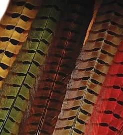 Hareline Feathers & Marabou Ringneck Pheasant Tail
