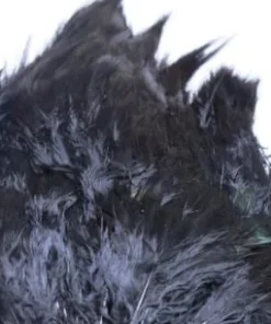 Nature's Spirit Feathers & Marabou Fish Hunter Ringneck Pheasant Rump Patch