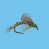 Solitude Loop Wing Emerger - Olive Shop Flies